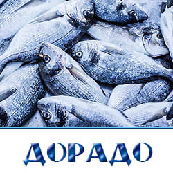 Купить дорадо оптом с доставкой по Московской области. 