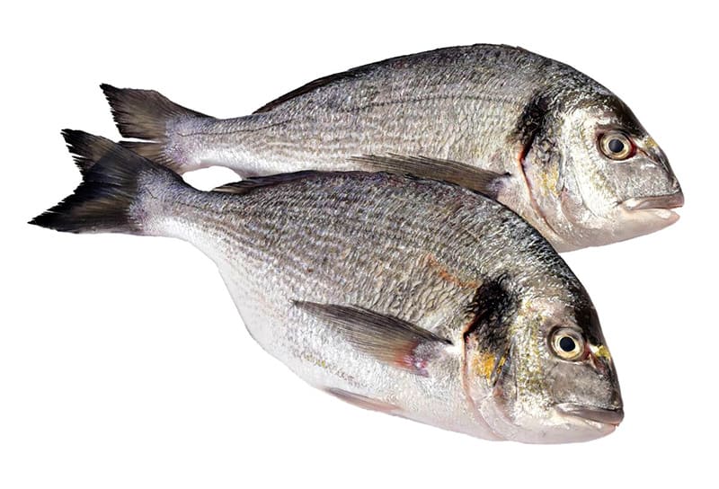Свежемороженая дорадо по оптовой цене с доставкой. 