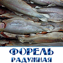 Купить форель оптом цена в Москве 
