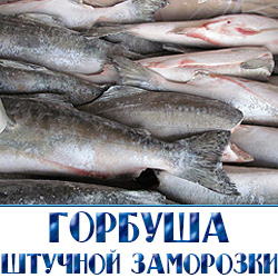Кета штучной заморозки оптом со склада недорго 
