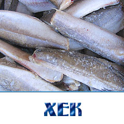Купить хек замороженный по оптовой цене в Москве 