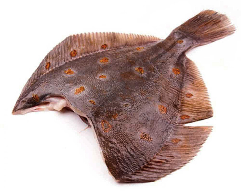 Камбала мурманская пятнистая оптом без наценок со склада в Москве 