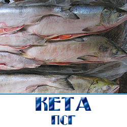 Кета псг как расшифровывается  потрашеная с головой купить оптом 