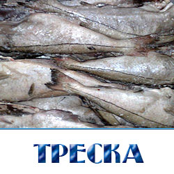 Треска свежемороженая оптом с доставкой по Московской области 
