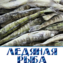 ledjanaja ryba