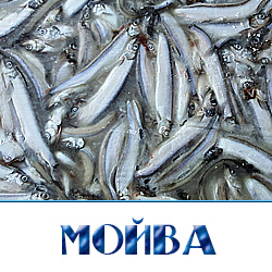 Мойва свежемороженая цена за кг в Московкой области 