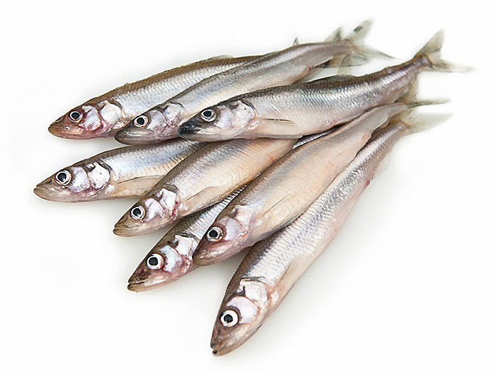 Мойва замороженная купить оптом 