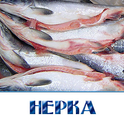 Нерка оптом в Москве