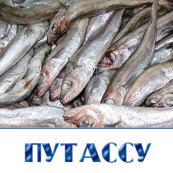 Купить путассу оптом Москва