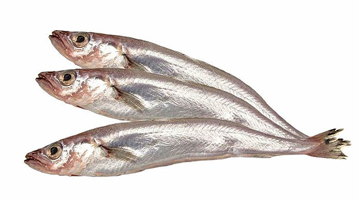 Купить путассу в московской области