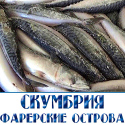 Скумбрия  свежемороженая оптом  со склада в Истринском районе 