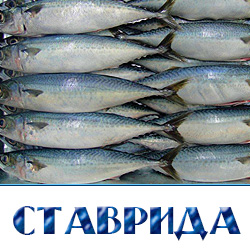 Купить ставриду свежемороженую оптом в Москве 