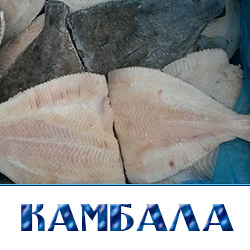 Камбала оптом купить в Истринском районе 