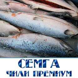 Семга чили премиум оптом