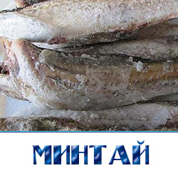 Минтай свежемороженый потрошеный обезглавленный по оптовым ценам в доставкой  в Москве 