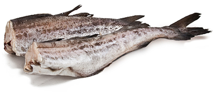 Купить минтай свежемороженный оптом от производителя в Истринском районе 