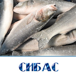 Замороженный сибас турция доставка  в Москве 