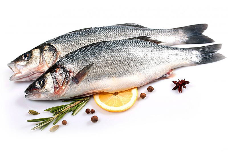 Купить сибас оптом в Московской области 