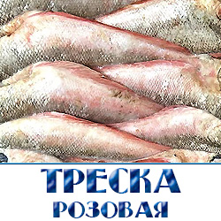 Треска свежемороженная  по оптовой цене в Московской области 