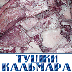 tushki kalmara