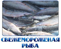 ПРОДАЖА ОПТОМ СВЕЖЕЗАМОРОЖЕННОЙ РЫБЫ В ОДИНЦОВСКОМ И ИСТРИНСКОМ РАЙОНЕ