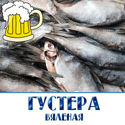 Как сохранить воблу? Если рыбы вышло много и вы не собираетесь ее тут же съесть, то необходимо ее как-то сохранить. Если оставить ее на столе в кухне, она пересохнет буквально за несколько дней и придет в негодность. Если хранить недолго, то нужно завернуть в бумагу и положить на нижнюю полку холодильника. Если нужно хранить рыбу долго, то лучше всего хранить рыбу в целлофановом пакете в морозильной камере. В неповрежденном пакете в морозилке рыба хранится очень долго, через полгода будет как только что приготовленная.