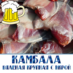 Вяленая камбала полезна и людям в возрасте, так как снижается риск получения инфаркта и инсульта. Одним словом, вяленая камбала – вкусный и полезный продукт для всей семьи. 