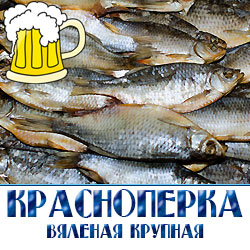 Отличительная особенность красноперки – это ее интересный окрас. Серебристая чешуйка и ярко-красные плавники мало кого оставляют равнодушными. Это самая красивая рыба, обитающая во многих регионах: Оренбург, Хабаровский край, Амурская область и другие. Отличается она не только окрасом, но и необычными названиями. Жители Дальнего Востока прозвали ее мелко- или крупночешуйчатой, угаем, в Оренбургском регионе кличут сорожкой. Рыба неприхотливая и может обитать в любом водоеме. Вот такая разная, но одинаково вкусная красноперка. 