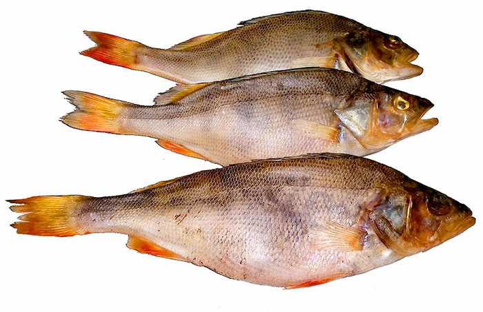 Сушеная рыба к пиву: часто путают с вяленой, но разница есть. Таранка остается «жирной», просто теряет часть жидкости, а сушеная рыбка полностью обезвожена. Чаще всего ее готовят в специальной сушилке или под прямыми лучами солнца, готовый продукт хранится фактически бесконечно долго и годится не только в качестве закуски к пиву, но и нередко выполняет роль полуфабриката для приготовления рыбных супов или блюд.