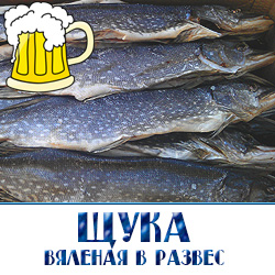 Сушеная вяленая щука по оптовой цене для вивных магазинов в развес  с доставкой по Московской обалсти.