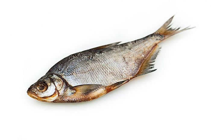 Синец — довольно жирная рыба, поэтому вкусна в вяленом виде (в старину из неё вытапливали рыбий жир). Хорошо ловится весной и осенью. Эти периоды наиболее пригодны для вяления: температура не столь высока, как летом. Из-за излишней костлявости синец раньше не употребляли в пищу. Это была рыба для низших слоёв населения.  Но если правильно завялить, перед синцом блёкнет вкус самой лучшей воблы!