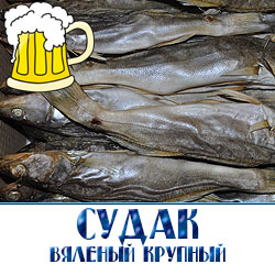 Вяленый судак так же не имеет никаких консервантов, да и зачем они нужны, когда вяление рыбы – это древнейший способ консервации, для которого нужен только солевой раствор. 