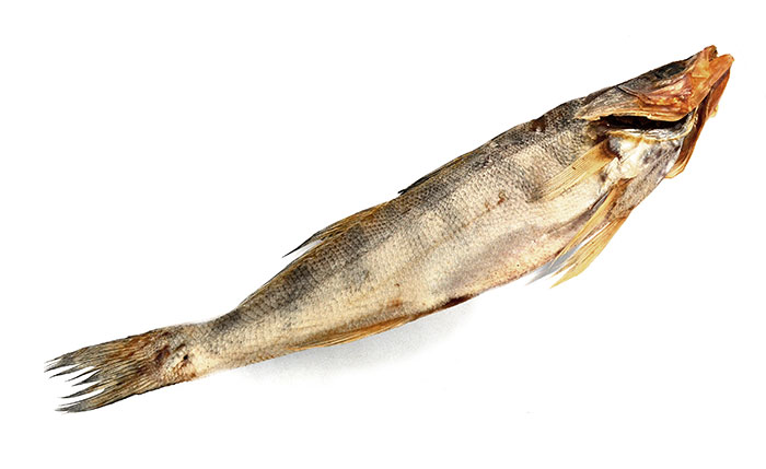 Вяленый судак – полезный продукт, употреблять который можно и детям и взрослым. В нем содержатся легко усваиваемые организмом белки, жир и полезные микроэлементы, благотворно влияющие на работоспособность головного мозга, развитие костной ткани. Вяленый судак, как и любая другая рыба, приготовленная таким образом, снижает риск возникновения инфаркта и инсульта, успокаивает нервную систему и рекомендуется даже беременным женщинам.  Калорийность вяленого судака всего 83 кКал, беспокоиться за размер талии не стоит, тем более, что насыщение наступает довольно быстро, опять же из-за содержания белка.  Вяленый судак – прекрасная закуска к пиву. Умеренное содержание соли и приятная консистенция мяса подарят наслаждение любителям провести вечер с кружкой пива