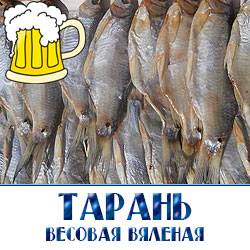 Рецепты вяления тарани передаются из поколения в поколение, и рыба повсеместно продается оптом и в розницу. Мало кто не покупал эту прекрасную закуску к пиву по пути на пляж или перед дружескими посиделками. Среди рыбных закусок продажа тарани в Москве и области бьет все рекорды, ведь ее цена невысока, а вкус – отменный. Главная особенность этой рыбки в том, что она максимально сухая, в ней почти нет жира. Поэтому ее можно есть и не бояться испортить свою фигуру. Пищевая ценность в 100 г продукта: