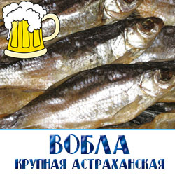  Вяленая рыба это высококачественный переработанный продукт из рыбы. Вяленая и сушеная рыба имеет разную влагу а так же разные сроки хранения. Изготовление вяленой рыбы в астраханском регионе приобрело популярность в послевоенные годы. Массовый вылов биоресурсов населением ужесточил законодательную базу в отношении раконьеров. Вяленая вобла и вяленый Астраханский лещ приобрели быструю популярность не только в бывших странах СССР, но и далеко зарубежом. Каспийский бассейн является одним из самых больших рыбных запасов в мире, поэтому Астрахань славится большими поставками речной рыбы во все страны мира.