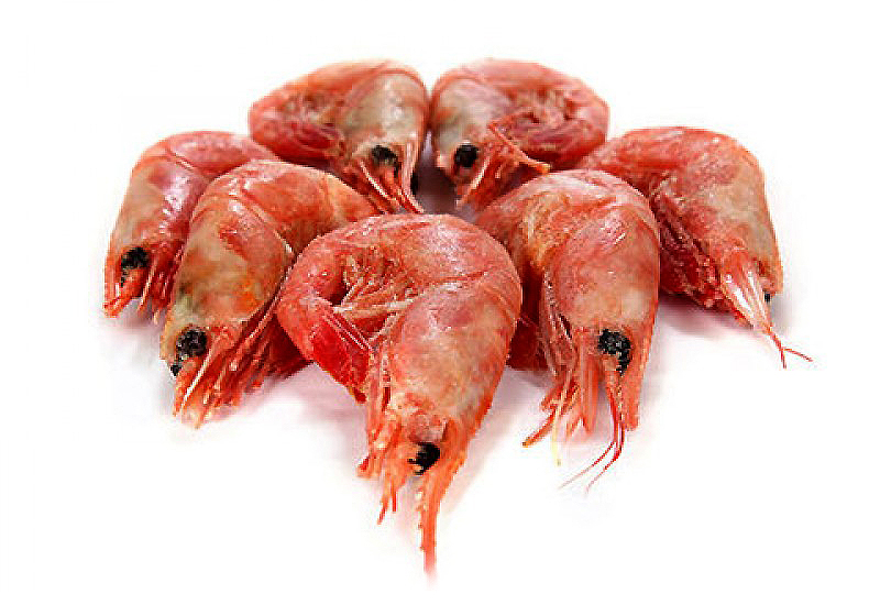  Северные креветки встречаются в Северной Атлантике (включая Баренцево море) и в северной части Тихого океана. Креветка, продающаяся в большинстве российских городов, преимущественно добыта датскими и канадскими рыбаками. Доля российских уловов из Баренцева моря незначительна. Общий допустимый улов в Баренцевом море составляет сейчас около 50 тыс. тонн, но вылавливается, обычно, меньше. Во всей северной Атлантике годовой вылов колеблется на уровне 100 - 200 тыс. т, в 2008 году только в Россию было ввезено более 50 тыс. т северной креветки. Промысел регулируется ведущими его странами и контролируется международными организациями по управлению рыболовством в Северной Атлантике. Признаков заметного подрыва запасов в настоящее время нет. В то же время тралы наносят определенный ущерб донным организмам и их сообществам, который должен оцениваться и приниматься во внимание при управлении промыслом креветок.