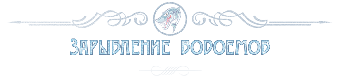 ЖИВАЯ РЫБА МАЛЕК ОПТОМ ДЛЯ ЗАРЫБЛЕНИЯ ПРУДОВ ОЗЕР ИСКУСТВЕННЫХ ВОДОЕМОВ В ИСТРИНСКОМ РАЙОНЕ ПО ВСЕЙ МОСКОВСКОЙ ОБЛАСТИ