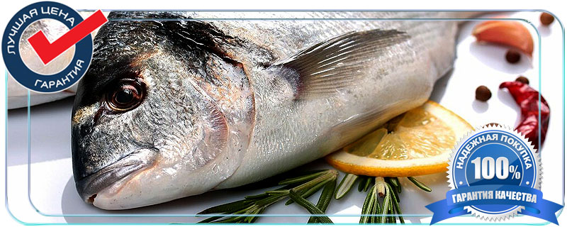 Купить рыбу охлажденную оптом с доставкой