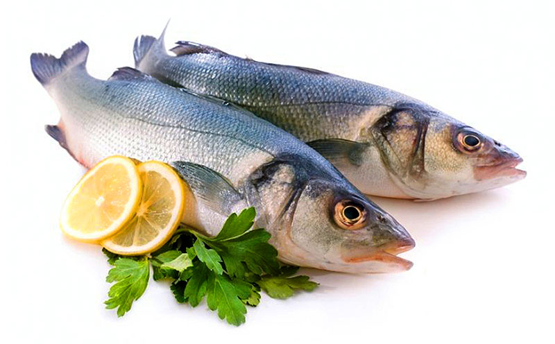 Оптовые компания рыба и морепродукты 
