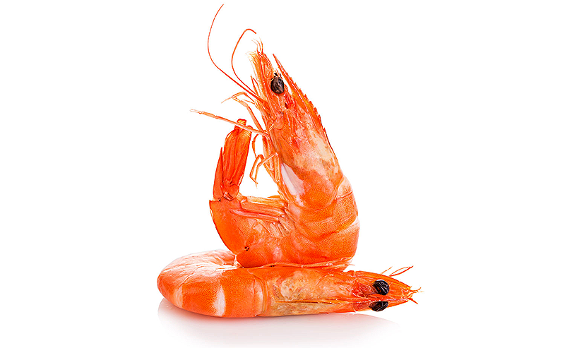 Купить креветки оптом дешево 