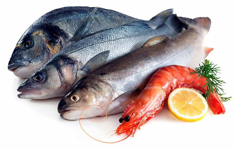 Рыбное изобилие Новопетровское адрес карта проезда 