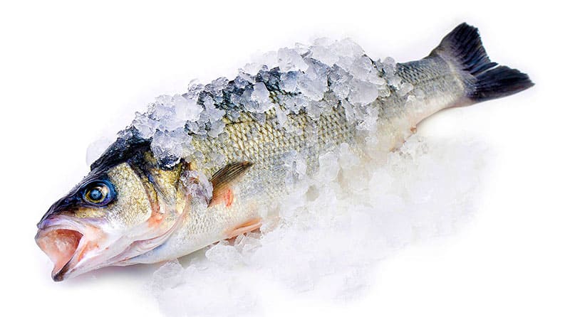 Купить рыбу мелким оптом с доставкой по Московской области. 