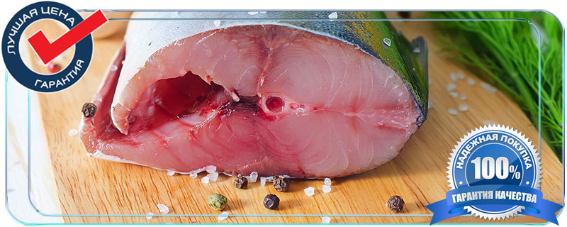 Польза рыбы для здоровья человека 