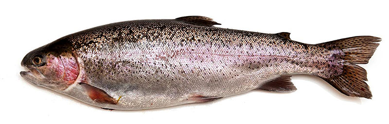 Форель охлажденная купить дешево в Истре 