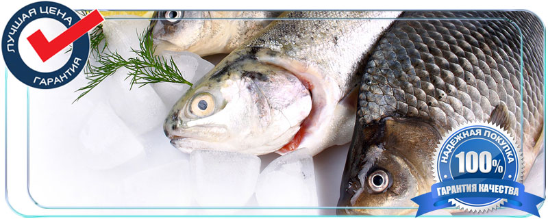 рыба мелким оптом москва и московская область