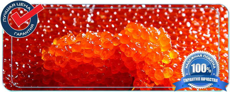 Купить красную икру горбуши оптом недорого 