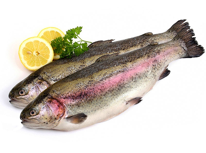 Как выбрать форель в магазине свежую