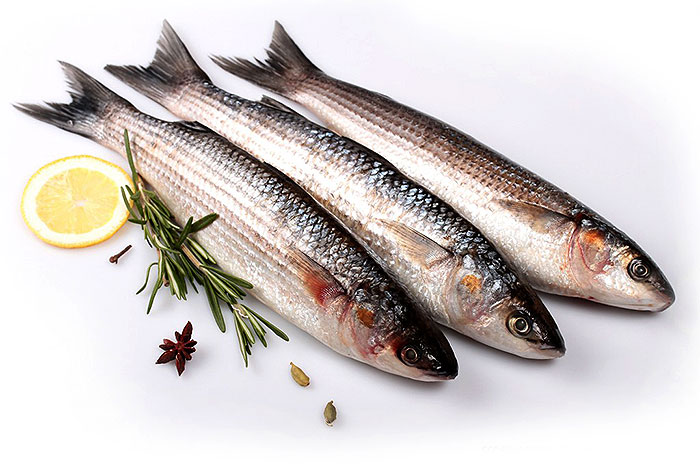 Цена на свежую  кефаль в Москве 