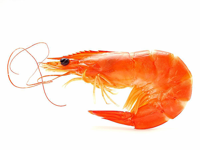 Купить креветки в Москве оптом недорого