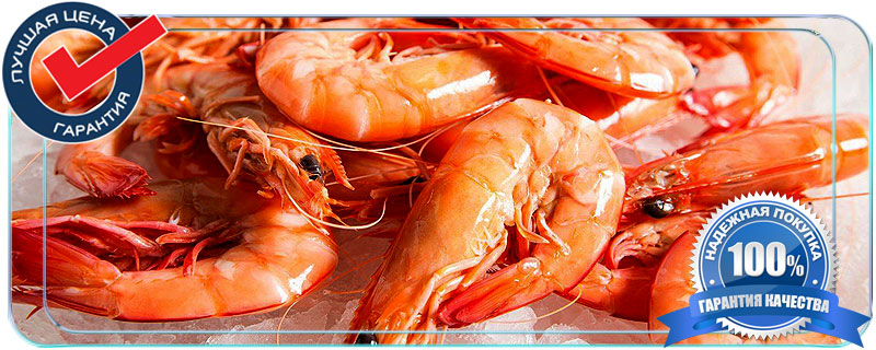 Креветки оптом от прямых поставщиков в Истре 